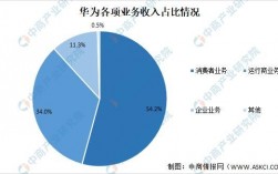 华为国内市场（华为国内市场分析）