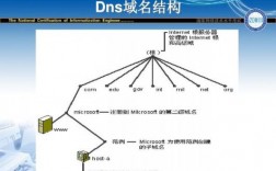 关于一个服务器可以放几个域名的信息