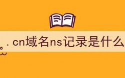 cn域名ns记录怎么查看（cn域名多少钱一年）