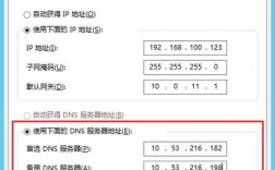 VPS服务器的内网IP和外网IP一样是怎么弄的，国外vps怎么上网的