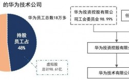 华为公司的不足（华为公司不足之处总结）