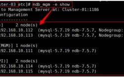 怎么搭建mysql数据库网站（怎么搭建mysql数据库网站教程）