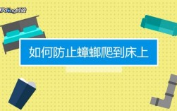 怎么防止ddos（怎么防止蟑螂爬到床上）