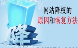 分析网站降权后的降权原因（分析网站降权后的降权原因怎么写）