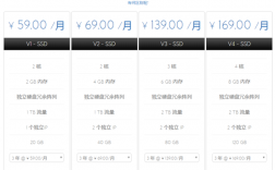 韩国vps主机租用多少钱一个月（韩国vps主机租用多少钱一个月啊）