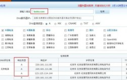 域名解析记录查询（域名解析记录查询历史数据）