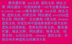 服务器托管vps（服务器托管多少钱一年）