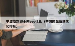 宁波专业seo哪里好（宁波seo排名公司）