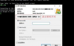 苹果电脑怎么连接vps，美国vps无法登录怎么办啊