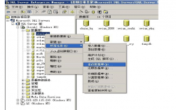 sql2000数据库如何备份和导入，sql2000怎么导入数据库