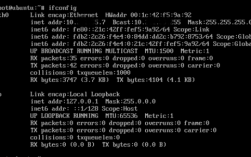 Linux怎么查看主机下的虚机，linux性能查看工具有哪些功能