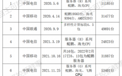 运营服务器的公司（国家对服务器运营商有什么规定）