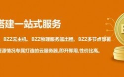 云取服务器（云服务器 bzz）