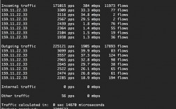 怎么看ddos的ip（ddos ping）