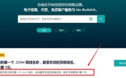 域名去哪里续费（域名续费太贵了）