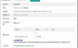 域名怎么样诊断（域名怎么样诊断出来）