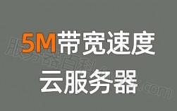 云服务器100m（云服务器100m带宽下载速度慢怎么办）