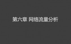 全面掌握流量分析技巧，保障企业网络安全（全面掌握流量分析技巧,保障企业网络安全的措施）