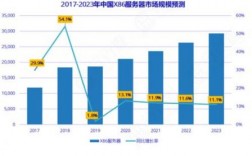 国内服务器技术（国内服务器技术现状）