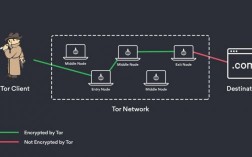 tor网络怎么（tor网络怎么进）