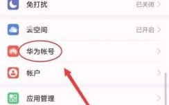华为帐号保护在哪设置（华为的账号保护是什么意思）