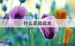 超极本性能怎么样？超极本性能探析：究竟有多少能力？