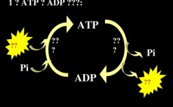 atp攻击怎么防御（atp超速防护的速度限制有哪些）