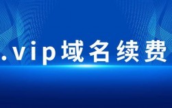 vip域名续费（域名 续费）