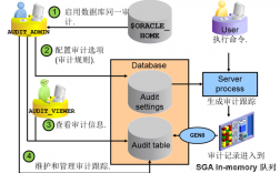 Oracle数据库中审计的概念是什么，数据库审计功能的作用是什么