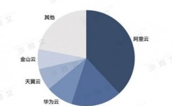 国内云服务器商（国内云服务器厂商）