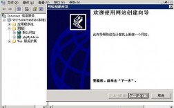 iis6中文域名（iis域名解析）