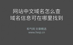 怎么查看网站的域名（怎么查看网站的域名注册信息）