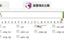 .ss域名注册（sg域名注册）