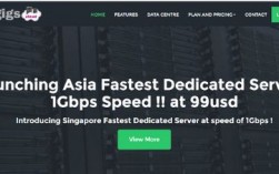 便宜新加坡vps租用怎么降低延迟（便宜新加坡vps租用怎么降低延迟费用）