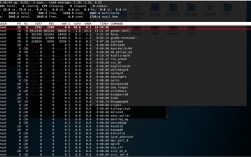 云服务器linux 下查杀 xmrig 挖矿病毒的方法（linux挖矿病毒排查）