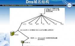 dns域名是啥（dns1是域名1吗）