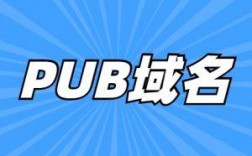 .pub是什么域名（pub域名怎么样）