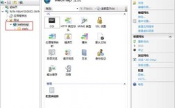 iis服务器如何配置（服务器iis配置步骤）