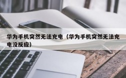 华为手机充电充不进去（华为手机为什么充不进电怎么解决）