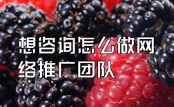 网络推广团队哪里找（我想做网络推广找谁）