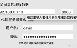美国代理服务器怎么写（国外代理服务器地址,服务器端口,密码）