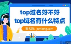 top域名多少钱（top域名续费一年多少钱）