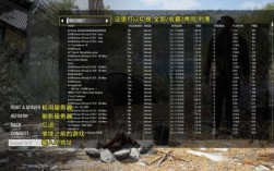 scum怎么看服务器是哪个国家，whois server