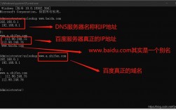 怎么用网址解析dns（DNS的解析方式有哪几种)