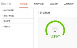 VPS IIS 301重定向设置教程：优化网站SEO并快速提升流量（seo设置是什么)