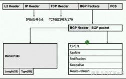 bgp开udp服务器（bgp使用udp协议传输报文）