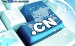 cn域名国际业务（国际域名管理）