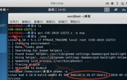 linux系统提供安全功能如何，linux系统常见漏洞