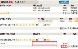 新网域名解析要多久（域名解析后多久可以打开网站）