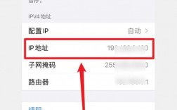 ip密码怎么查看（苹果手机的ip密码怎么看）